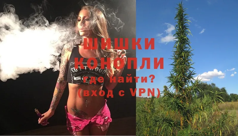 Бошки марихуана SATIVA & INDICA  Кувшиново 